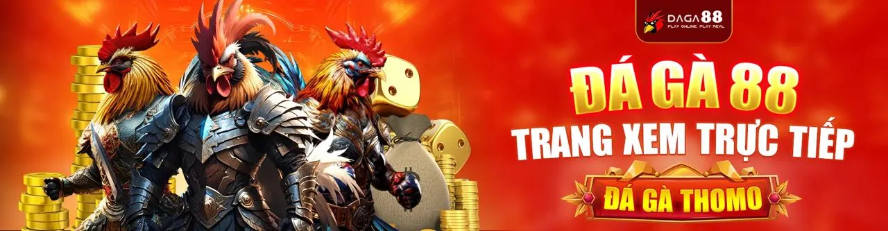 Sân đấu đá gà trực tuyến ke9